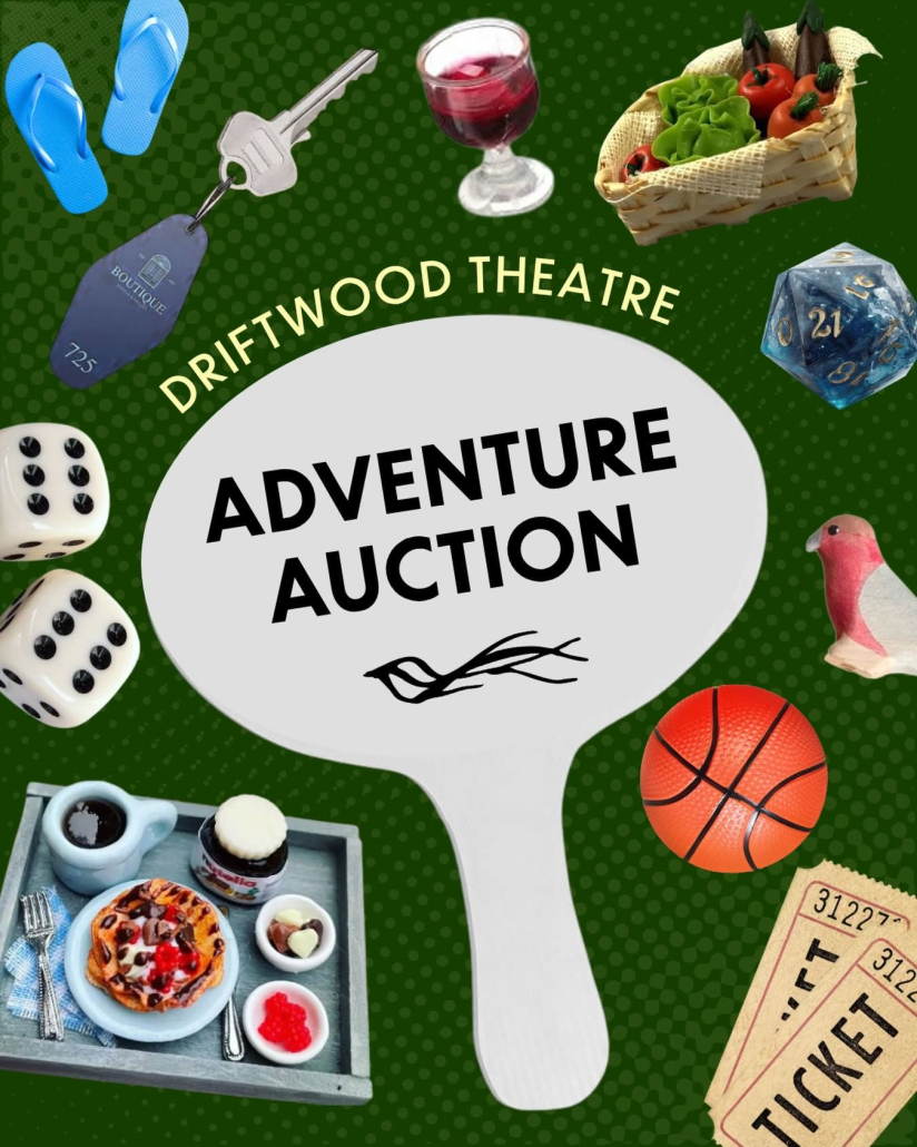 Adventure Auction Image